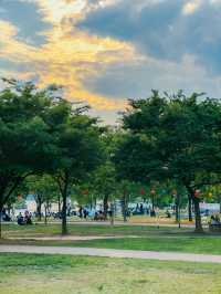 해 질 무렵이면 황금빛으로 물드는 강가🌇🧡