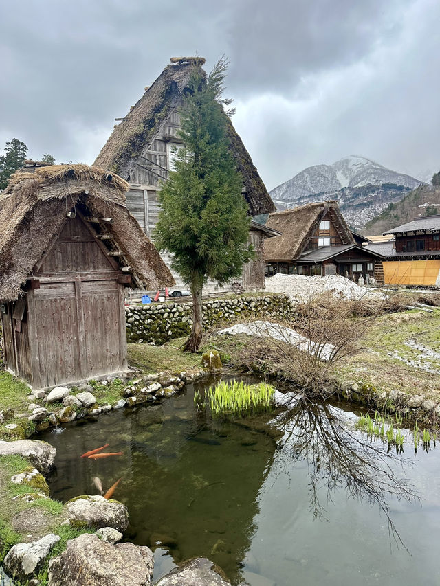 Shirakawa go - a must go