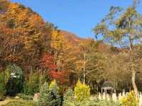 宛如歐洲童話小鎮的滑雪場度假村---白馬綠色廣場飯店 Hotel Green Plaza Hakuba