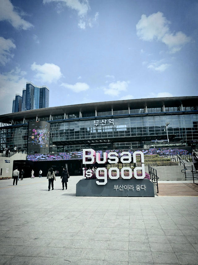 Having Moment in Busan 
