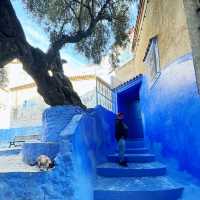 Chefchaouen: A Blue Village Made for Wonder!