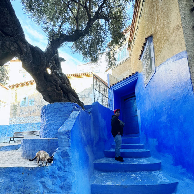 Chefchaouen: A Blue Village Made for Wonder!