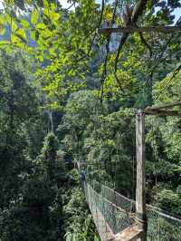 Gunung Mulu National Park