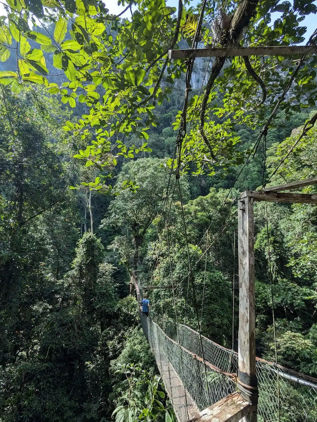 Gunung Mulu National Park