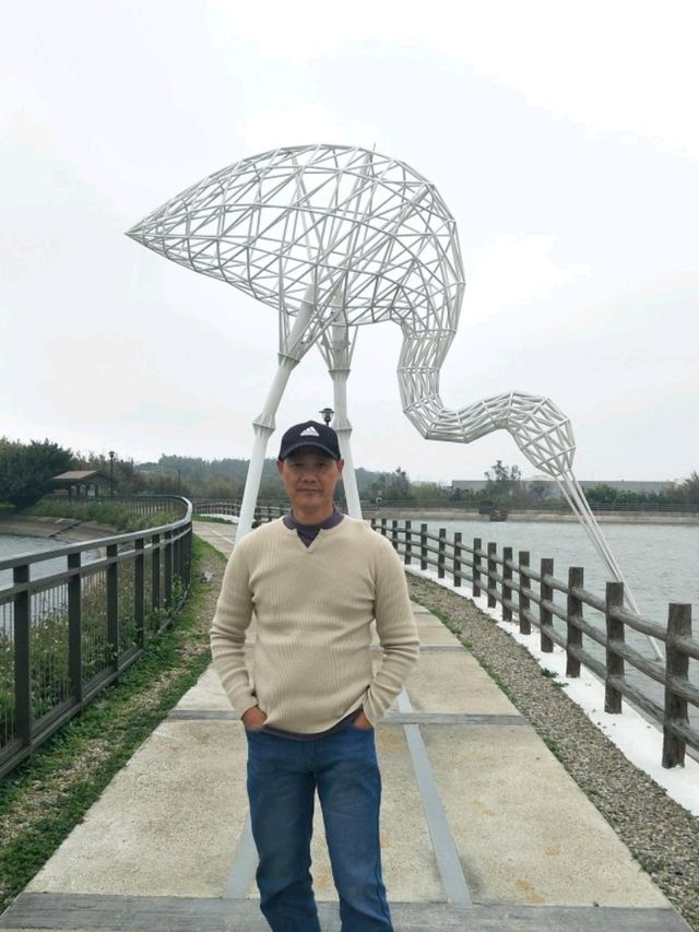 #2018地景藝術節「水漾飛機」-桃園市楊梅區