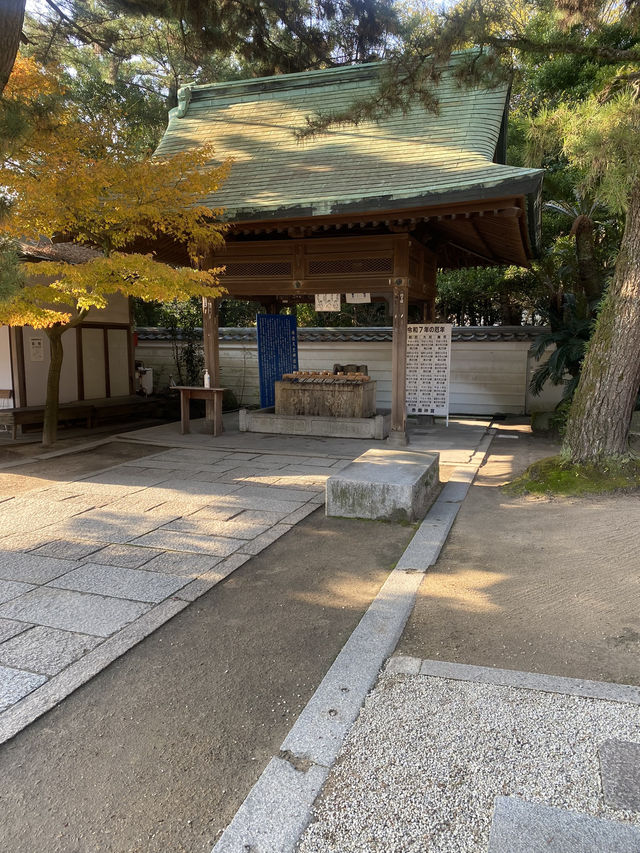 【山口県下関市🇯🇵赤間神宮】竜宮城をイメージした神社⛩️