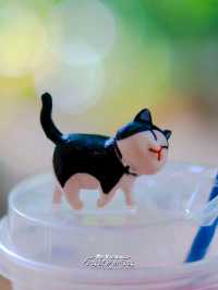 Cococat Cafe