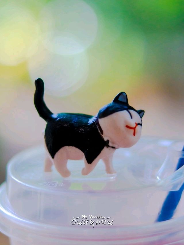 Cococat Cafe