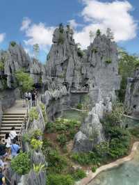 Into the Wild: Exploring Singapore’s Rainforest Wild Asia