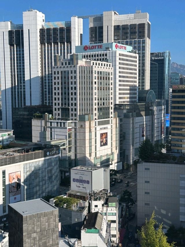 🌴🌾르메르디앙 서울 명동