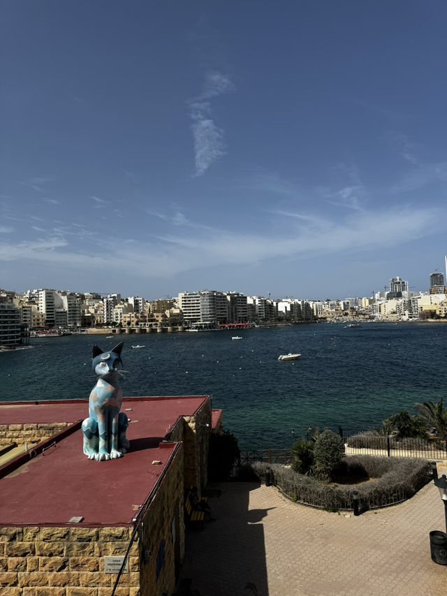 見どころたくさん地中海の小さな島マルタ島🇲🇹