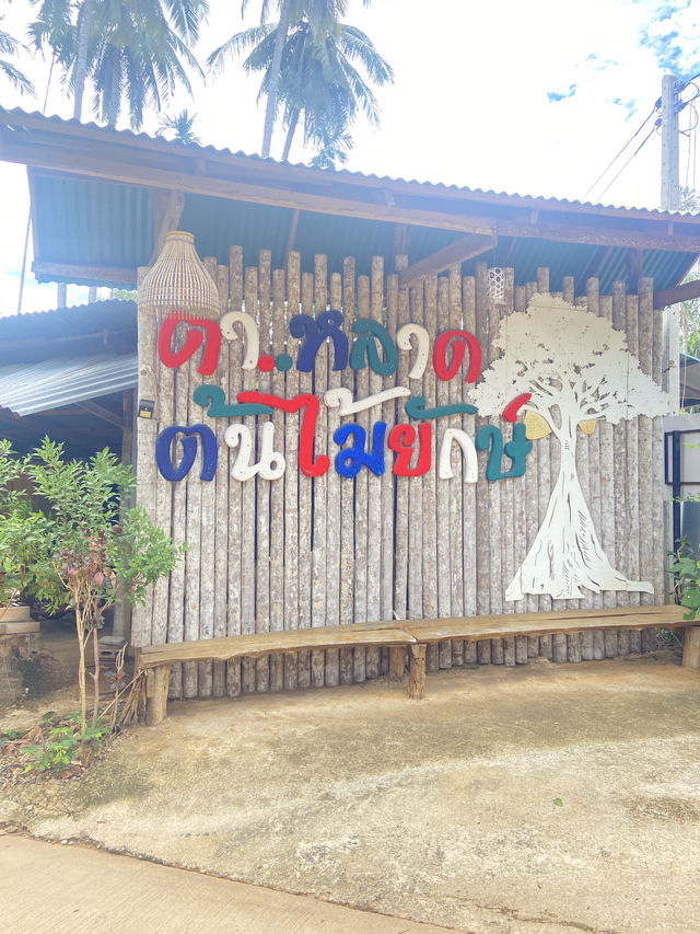 รีวิว อุทัยธานี วันเดย์ทริป