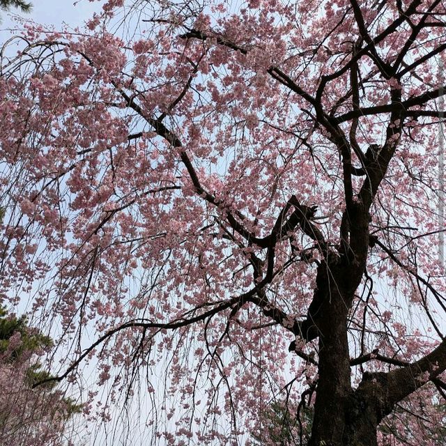 Shikishima Park, Gunma