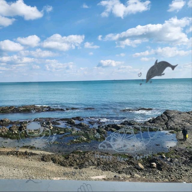SEA ESSAY