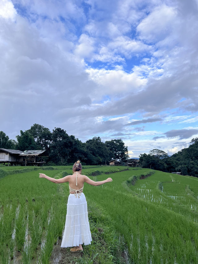 นาขั้นบันได บ้านปางมะโอเชียงใหม่