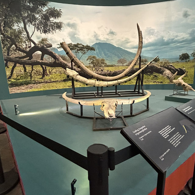 National Museum of Indonesia 