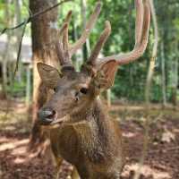 อุทยานธรรมเขานาในหลวง