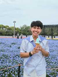 เที่ยวทุ่งดอกไม้ นะบะนะ โนะ ซาโตะ🌷🪻