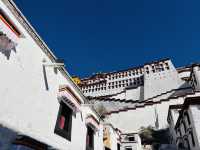 Wait… This Isn’t a Dream? Springtime at the Potala Palace Feels Unreal!