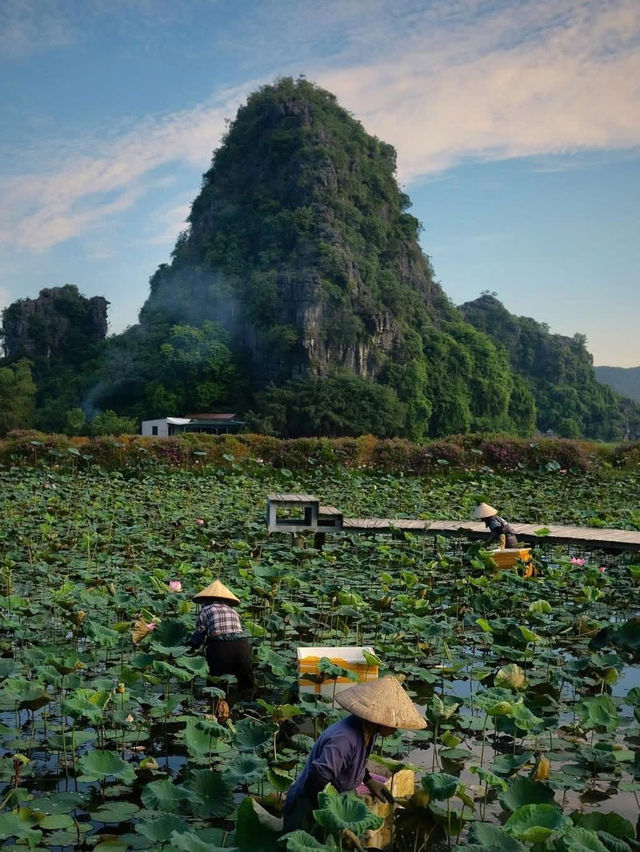 Du lịch HANG MÚA