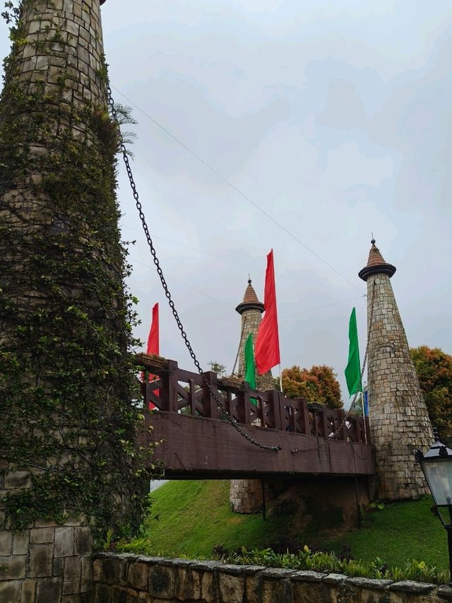 A Stroll Through the French Charm of Colmar Tropicale