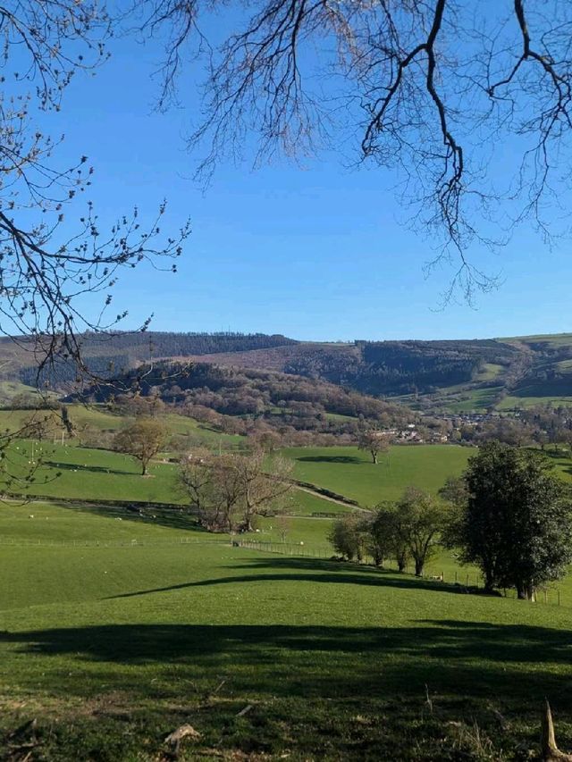 Welsh unrivaled beauty