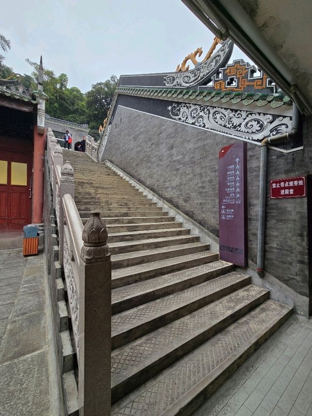 🌿 肇慶鼎湖山：綠色逃亡秘境！🌄