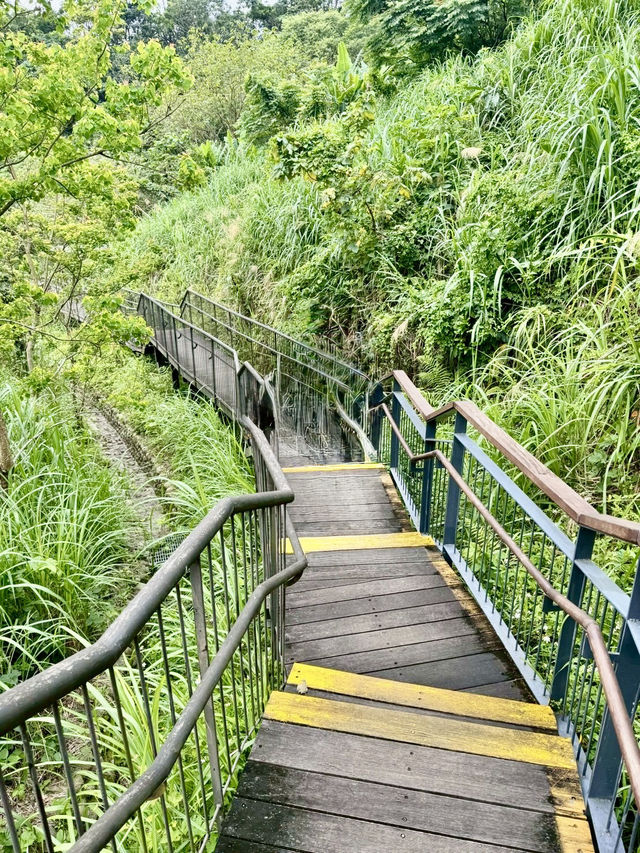 最親近台北的森林步道～富陽及黎和自然生態公園走走