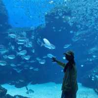 X Park Aquarium 