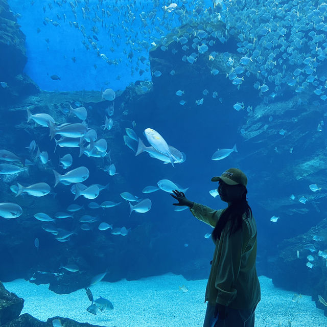 X Park Aquarium 