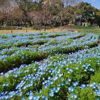 【岐阜】木曽三川公園