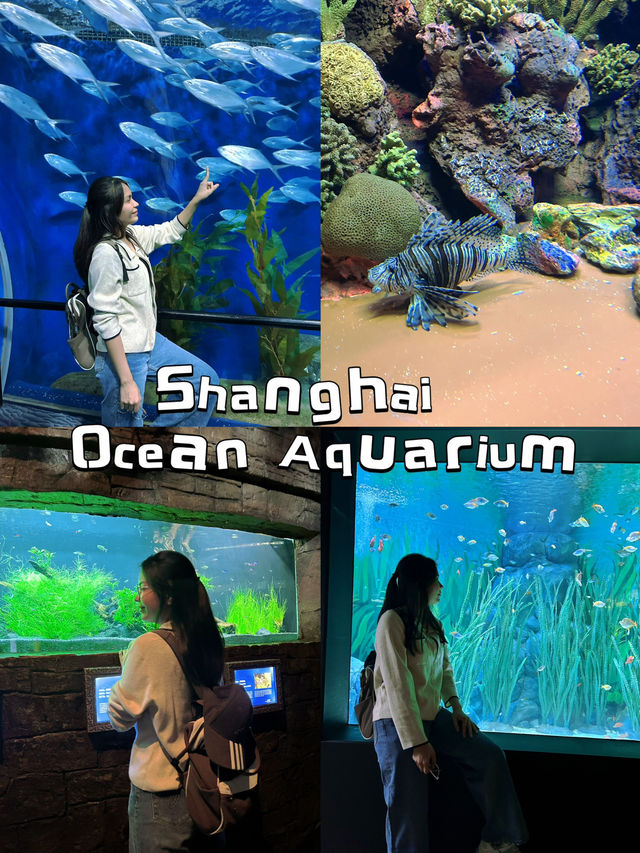 ไปดูปลาที่พิพิธภัณฑ์สัตว์น้ำเซี่ยงไฮ้กัน 🐠