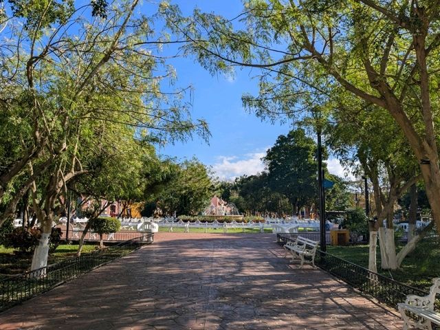 【バヤドリド】メキシコ🇲🇽ユカタン半島観光の拠点にオススメの街