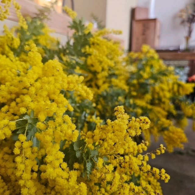 京都の工務店が手がけたリノベされた倉庫の異空間で紡がれる花と食