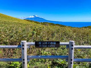 A Yellow Carpet Welcomes You! A Spectacular Display of Flowers and Sky in Kinbai Valley