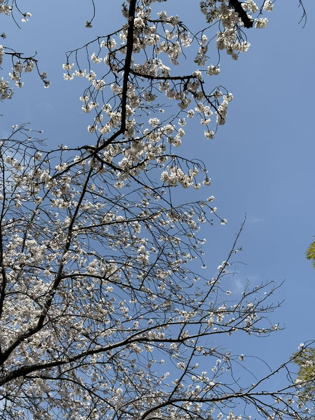 📍多摩川ガス橋緑地/東京