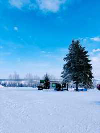 【北海道】美瑛四季彩之丘雪上電單車體驗
