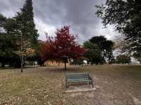 Explore the charming historic small town - Ross Tasmania 