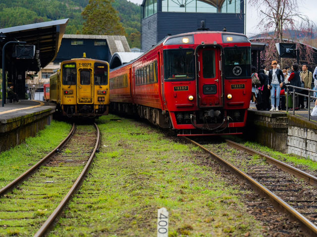 “Whispers of Spring: Sakura Serenity in Yufuin” 