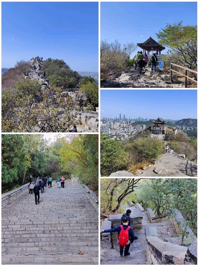 千佛山仰望眾佛
