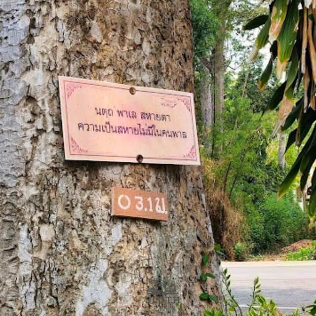 💯  วัดท่าสุทธาวาส