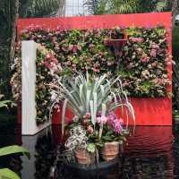 A Day at the New York Botanical Garden: A Bronx Escape