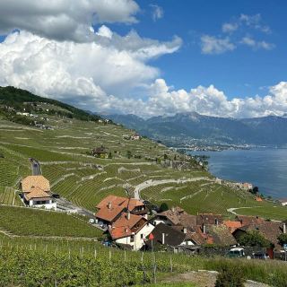 🍇🌿 Weekend Escape to Lavaux Vineyard Terraces: Swiss Wine & Alpine Views