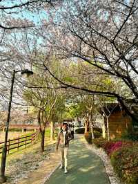 Gwangju: A Quiet Bloom in Korea’s Artistic SoulLocation: Gwangju, South Korea