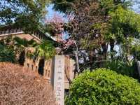 Yokohama Diaries: Coastal Breezes, Skyline Views & Cultural Gems