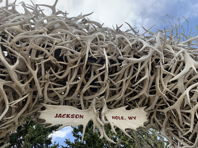 Scoops & Antlers: A Jackson Ramble