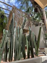 Glass House Boho