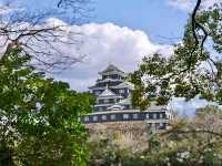 Garden With History