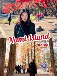 เกาะนามิ ในช่วงใบไม้เปลี่ยนสี 🍁🍂🍃🌱🇰🇷