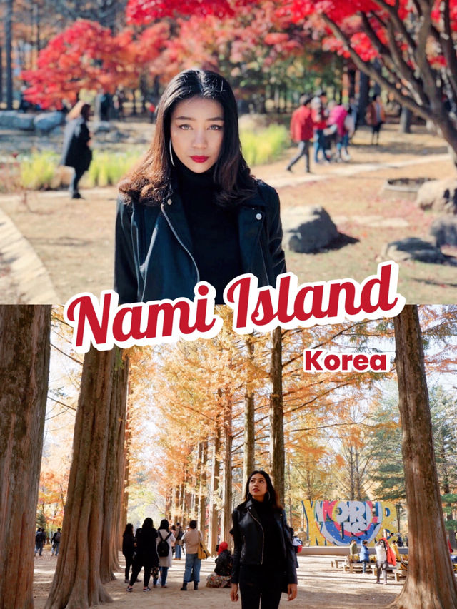 เกาะนามิ ในช่วงใบไม้เปลี่ยนสี 🍁🍂🍃🌱🇰🇷